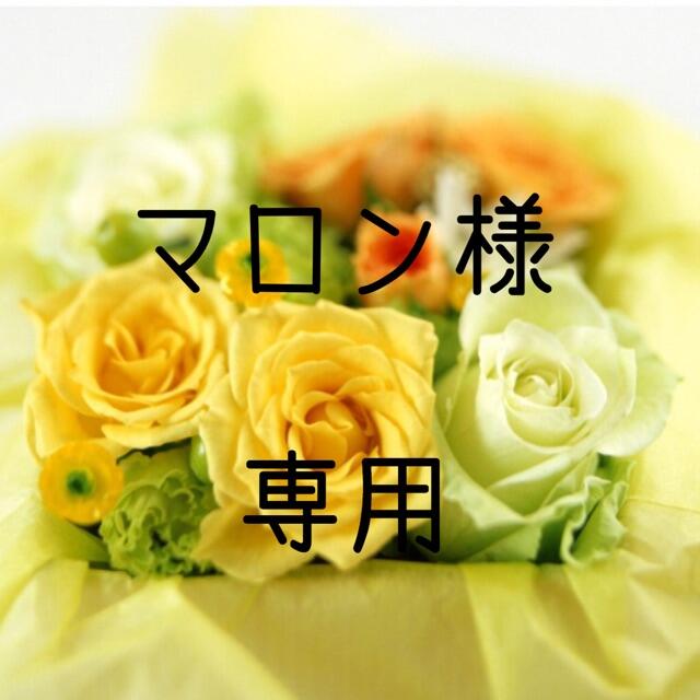 マロン  お米　令和2年　愛媛県産ヒノヒカリ　玄米　20㎏