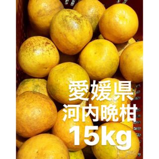 愛媛県　低農薬　宇和ゴールド　河内晩柑　15kg(フルーツ)