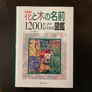 「花と木の名前」１２００がよくわかる図鑑(科学/技術)