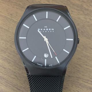 スカーゲン(SKAGEN)の腕時計　skagen(腕時計(アナログ))