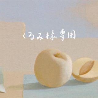 くるみ様専用(ぬいぐるみ/人形)