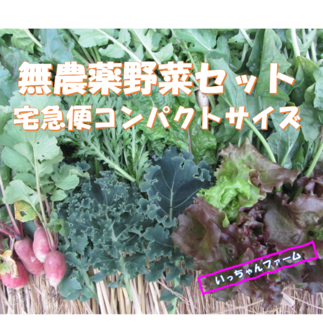sawa様専用　ケール詰め合わせ 食品/飲料/酒の食品(野菜)の商品写真