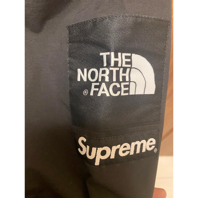 Supreme(シュプリーム)のsupreme the north face leaves メンズのジャケット/アウター(マウンテンパーカー)の商品写真