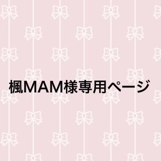 楓MAM様専用ページ(車外アクセサリ)