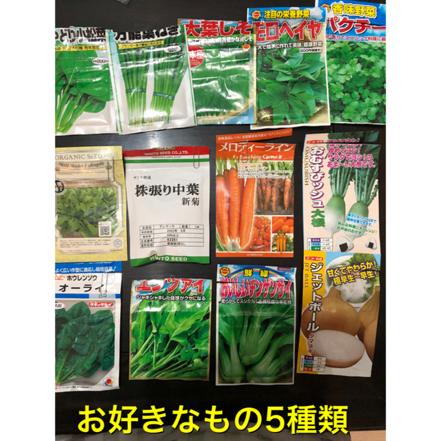 野菜の種　5種セット 食品/飲料/酒の食品(野菜)の商品写真