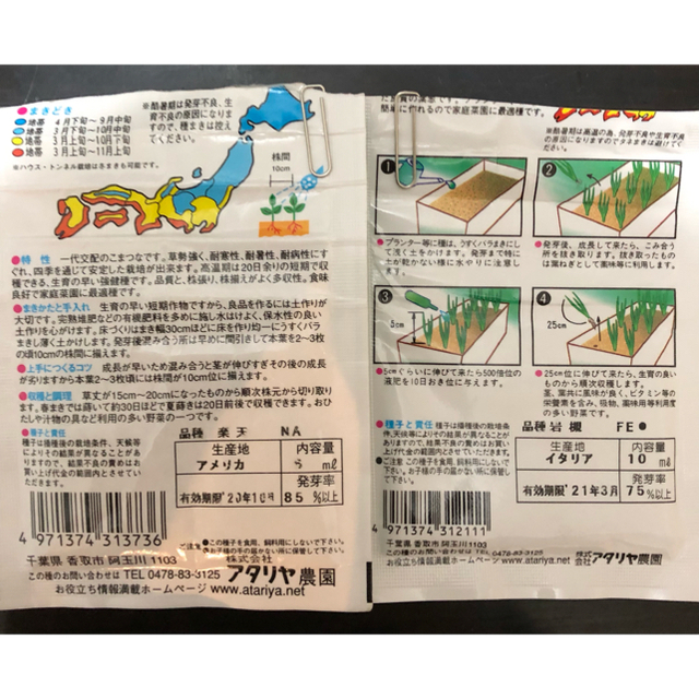 野菜の種　5種セット 食品/飲料/酒の食品(野菜)の商品写真