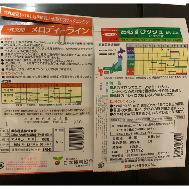 野菜の種　5種セット 食品/飲料/酒の食品(野菜)の商品写真