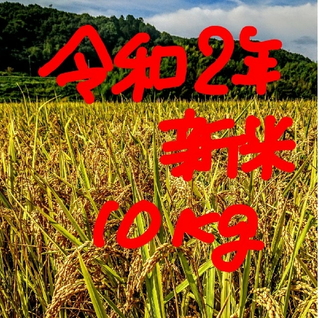 令和2年産新米 低農薬玄米10キロ 山田錦の里より農家
