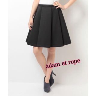 アダムエロぺ(Adam et Rope')のアダムエロペ フォルムパネルスカート(ひざ丈スカート)