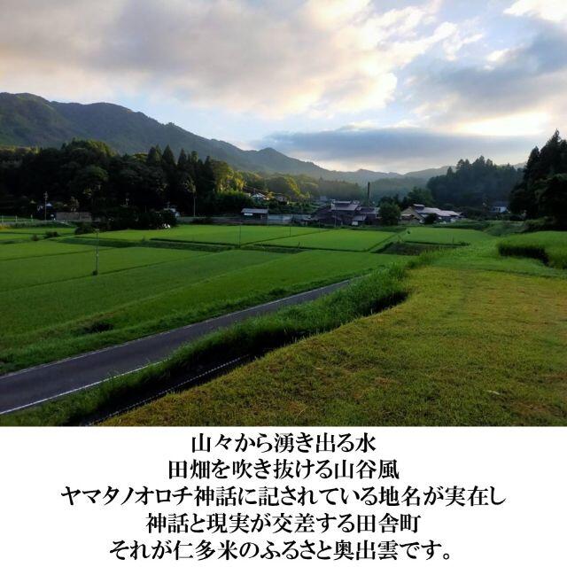 【期間限定セール】【令和2年産】仁多米(10kg) 1