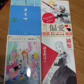 ami様専用タイマ  嶽本野ばら(文学/小説)