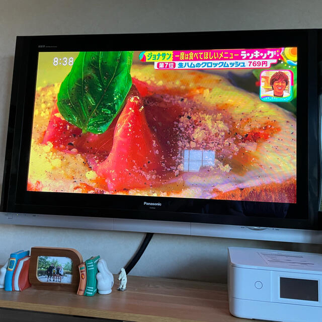 いぬっころ様専用PanasonicTH50PX500 50インチ プラズマテレビ 定番の