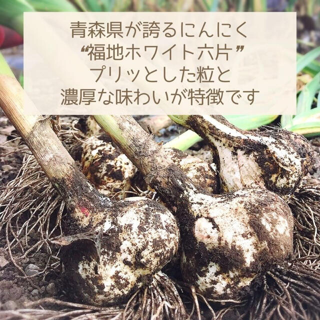 ★むきニンニク★ 2020年産　青森県田子町産にんにく500g 農家直送 食品/飲料/酒の食品(野菜)の商品写真