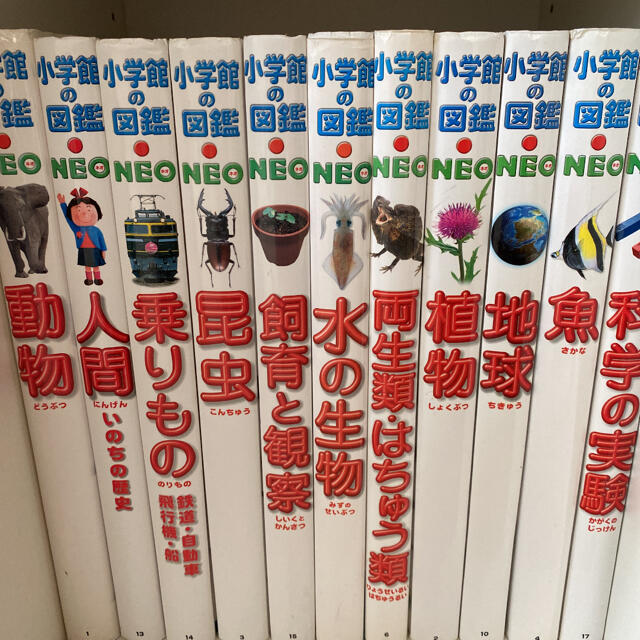 小学館の図鑑NEO 11冊セット