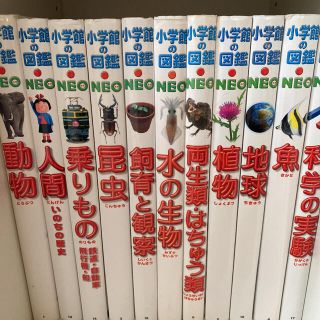 ショウガクカン(小学館)の小学館の図鑑　NEO 11冊セット(その他)