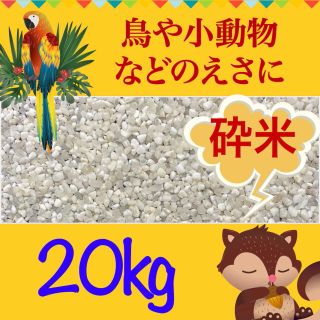 【送料無料】砕米 20kg  米 鳥の餌 飼料 えさ エサ くず米 お得 安い (米/穀物)