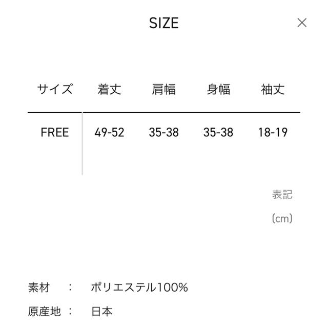 TOGA(トーガ)のkotohayokozawa シースルーショートスリーブトップスクルーネック レディースのトップス(カットソー(半袖/袖なし))の商品写真