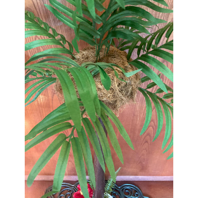 多様な 光触媒 人工観葉植物 ウォールグリーン フェイクグリーン