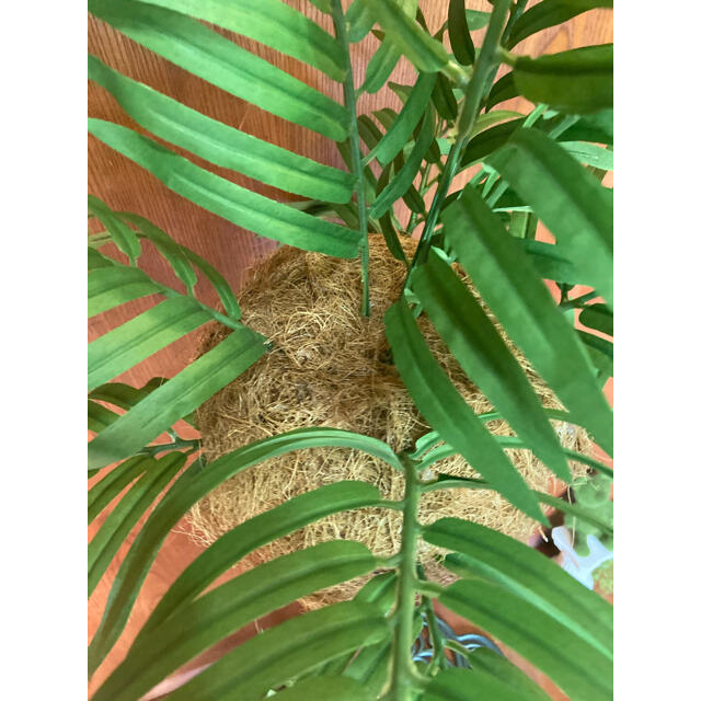 光触媒 人工観葉植物 ウォールグリーン 造花 インテリア ココナッツヤシ150 光触媒 人工観葉植物 ウォールグリーン 造花 インテリア ココナッツヤシ150