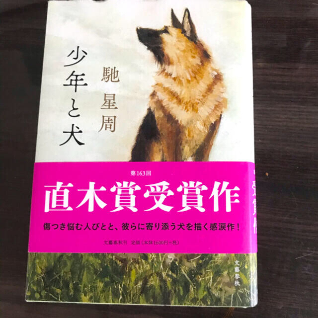定少年と犬」 直木賞 エンタメ/ホビーの本(その他)の商品写真