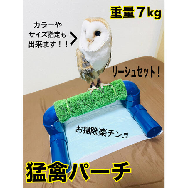 猛禽類 ボウパーチ - 鳥かご・パーツ類