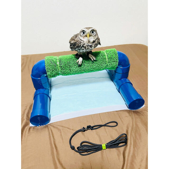 猛禽パーチ ボウパーチ リーシュセット ふくろう 繫留台 パーチ 猛禽パーチ ボウパーチ リーシュセット ふくろう 繫留台 パーチ