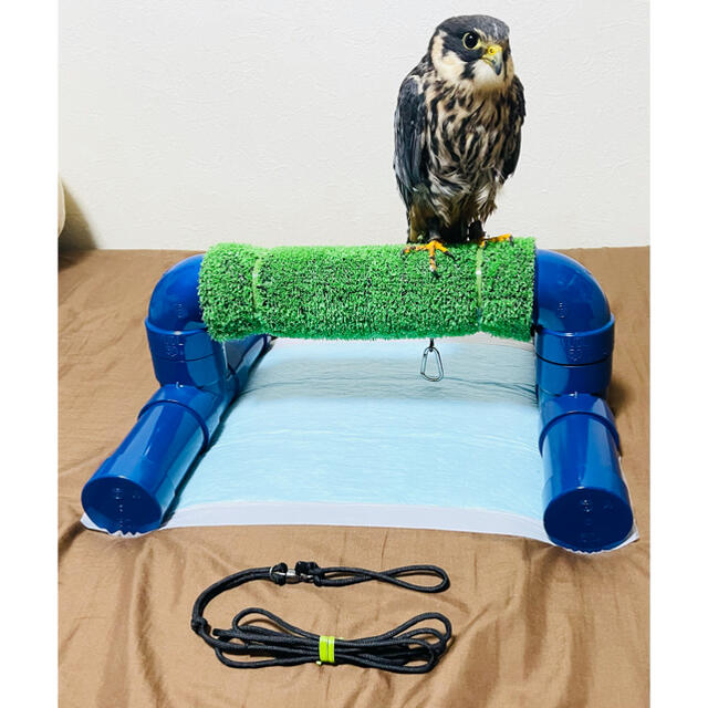 猛禽パーチ ボウパーチ リーシュセット ふくろう 繫留台 パーチ 猛禽パーチ ボウパーチ リーシュセット ふくろう 繫留台 パーチ