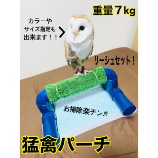 猛禽パーチ　ボウパーチ　リーシュセット　ふくろう　繫留台　パーチ　フクロウ(鳥)