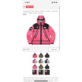 シュプリーム(Supreme)のSupreme®/The North Face® Summit Series (マウンテンパーカー)