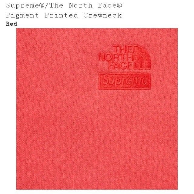 Supreme×TNF☆Pigment Printed Crewneckノース