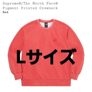 シュプリーム(Supreme)のSupreme×TNF☆Pigment Printed Crewneckノース(スウェット)