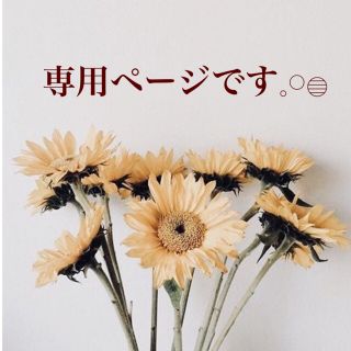 フラワー(flower)の1点物＊パールボールがゆれる♩ドライフラワーイヤリング(ピアス)