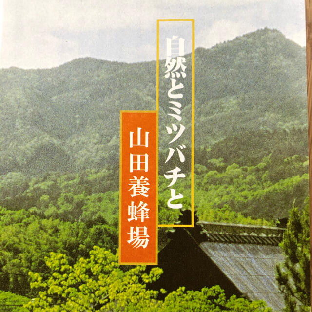 山田養蜂場(ヤマダヨウホウジョウ)のプロポリス　300 山田養蜂場 コスメ/美容のキット/セット(サンプル/トライアルキット)の商品写真