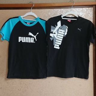 プーマ(PUMA)のPUMA Tシャツ 140 2枚(Tシャツ/カットソー)