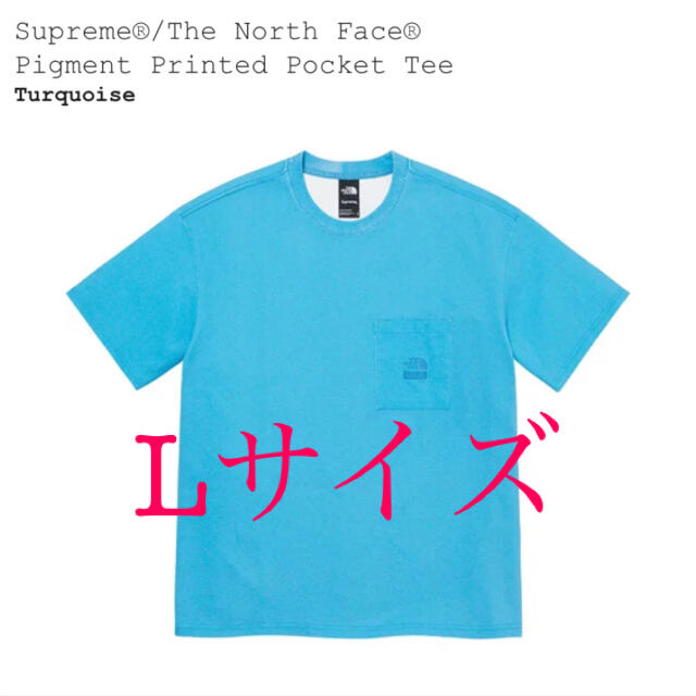 バレンシアガsupreme north face pigment printed tee