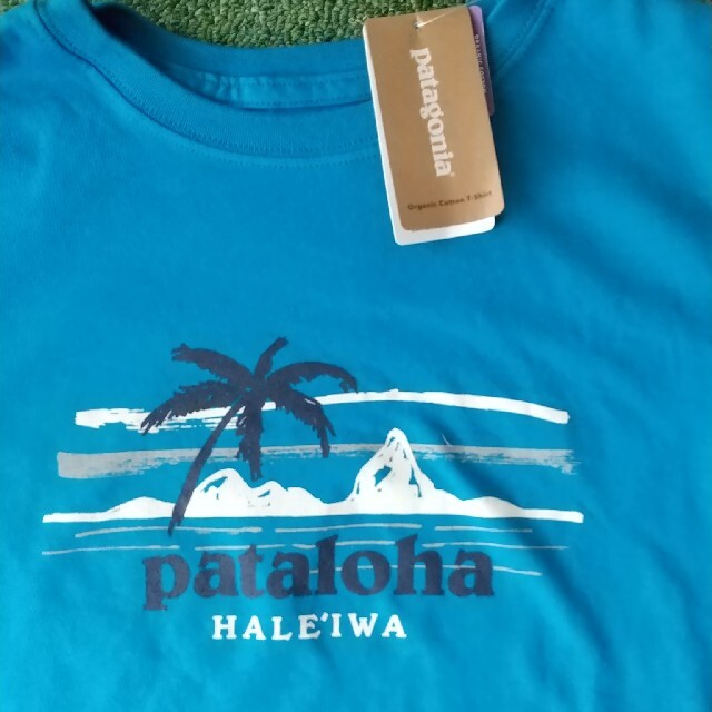 パタゴニア ボーイズ 150 160 patagonia ハワイ ハレイワ 限定