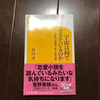 宇宙は何でできているのか 素粒子物理学で解く宇宙の謎(文学/小説)