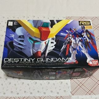 バンダイ(BANDAI)のネコ様専用　　DESTINY GUNDAM (模型/プラモデル)