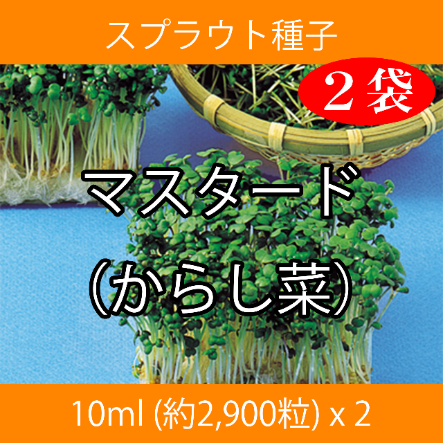 スプラウト種子 S-03 マスタード（からし菜） 10ml x 2袋 食品/飲料/酒の食品(野菜)の商品写真