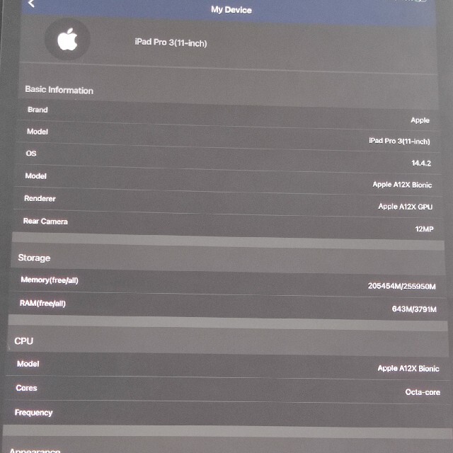 iPad - iPad Pro 11インチ(2018) 256GB