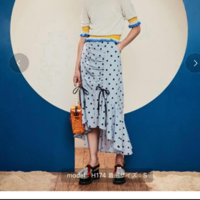PAMEO POSE(パメオポーズ)のスカート レディースのスカート(ロングスカート)の商品写真