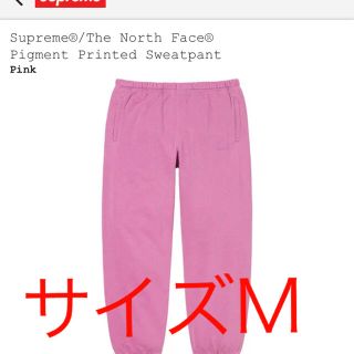 シュプリーム(Supreme)のsupreme The North Face Sweatpant サイズM(その他)