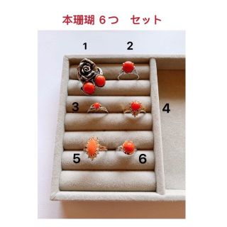 本珊瑚  ６つ　セット 美品(sakai様専用)(リング(指輪))