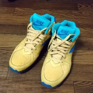 ナイキ(NIKE)のナイキ スニーカー(スニーカー)