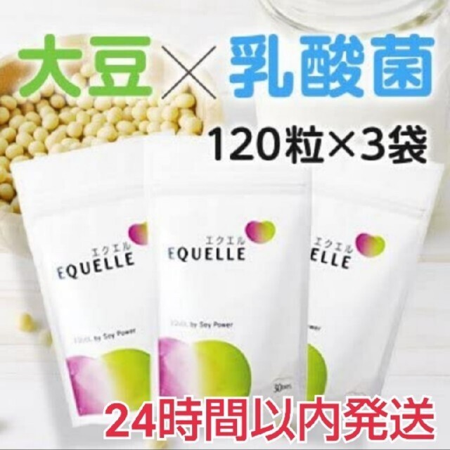 大塚製薬 EQUELLE エクエル パウチタイプ 120粒 30日分 3袋 - その他