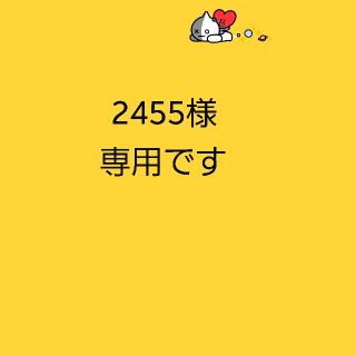 2455様専用です(^-^)(アンクレット)