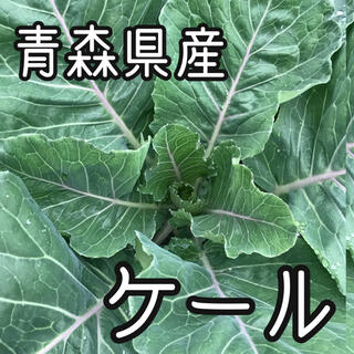 青森県産　農薬不使用  ジューシーケール　250g(野菜)