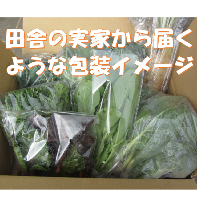 everyhappy様専用　春～夏野菜の詰め合わせ　７０サイズにて 食品/飲料/酒の食品(野菜)の商品写真