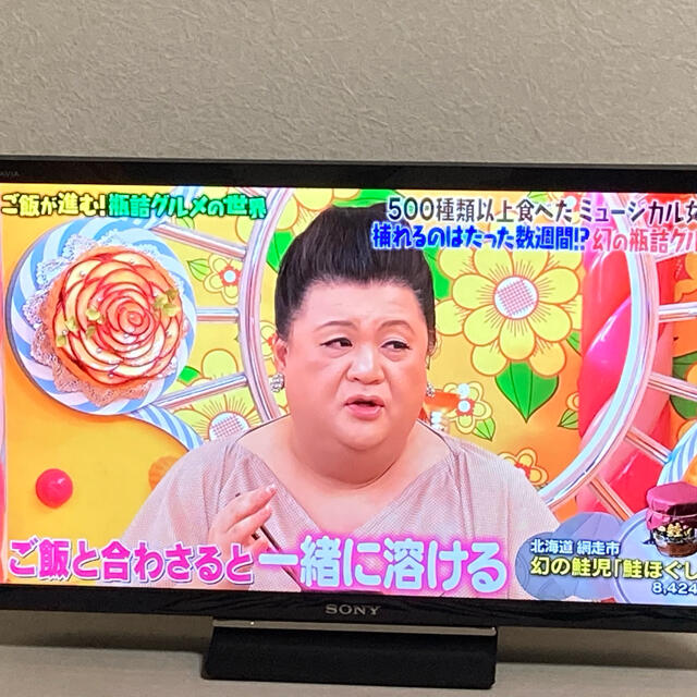 SONY テレビ BRAVIA 24型 SONY テレビ BRAVIA 24型