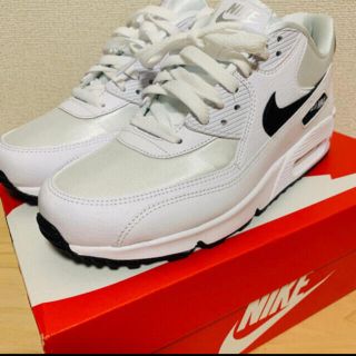 ナイキ(NIKE)のNIKE AIR MAX 90 ✨美品&箱あり✨(スニーカー)